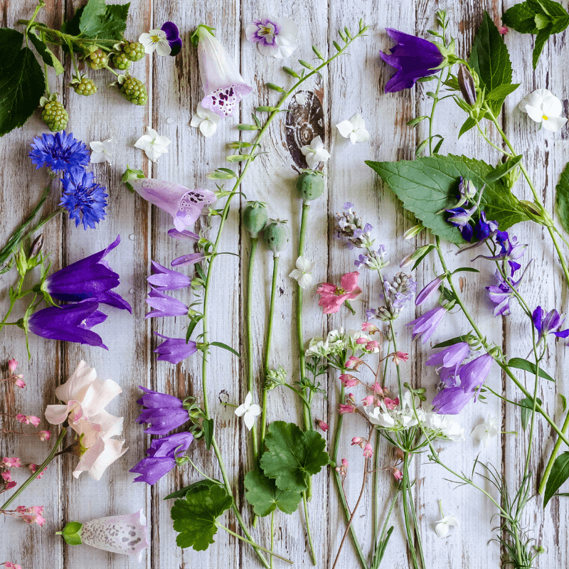 Private Class: Soy Candle Making Crystals & Botanicals