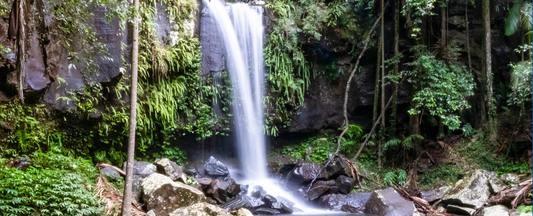 Curtis Falls in Tamborine National Park, Tamborine Mountain Queensland