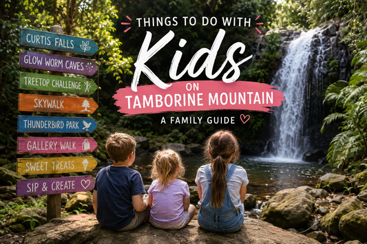 Things to do with kids on Tamborine Mountain including Curtis Falls, Glow Worm Caves, TreeTop Challenge, Skywalk and Gallery Walk