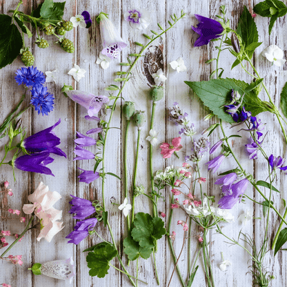 Create your own botanical soy candles at our Tamborine Mountain workshop. Private, public and mobile classes available.